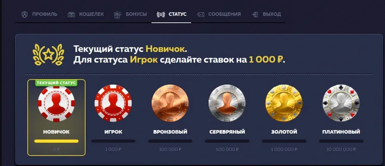 Программа статусов Vavada: шесть ступеней от Новичка до Платинового